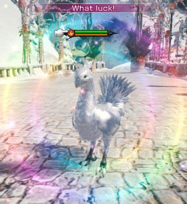 silver chocobo feathers|ff14 silver chocobo feather exchange.